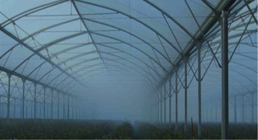 Water-based fog