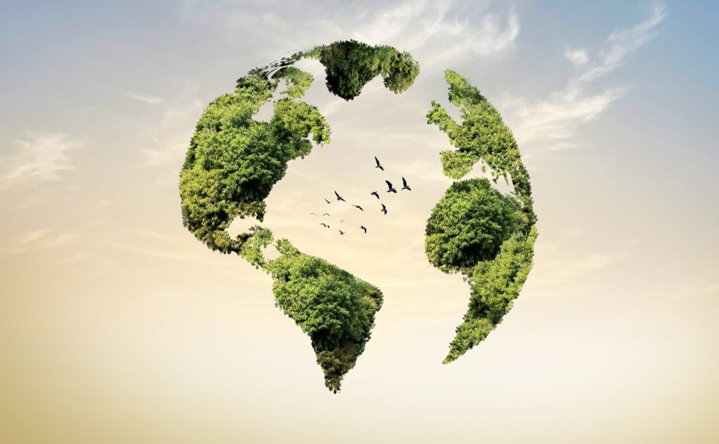 sustainability