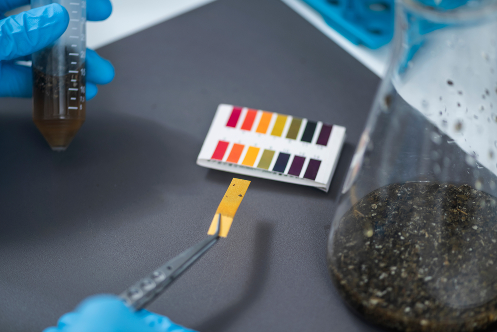 Agrochemical,Examination,Of,Agriculture,Sample,In,Laboratory.,Female,Scientist,Measuring