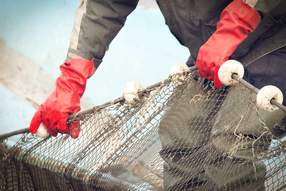 Fishermen,At,Work