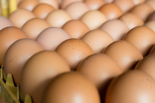 Group,Of,Eggs,Produced,By,Chicken,Farm,In,Indonesia