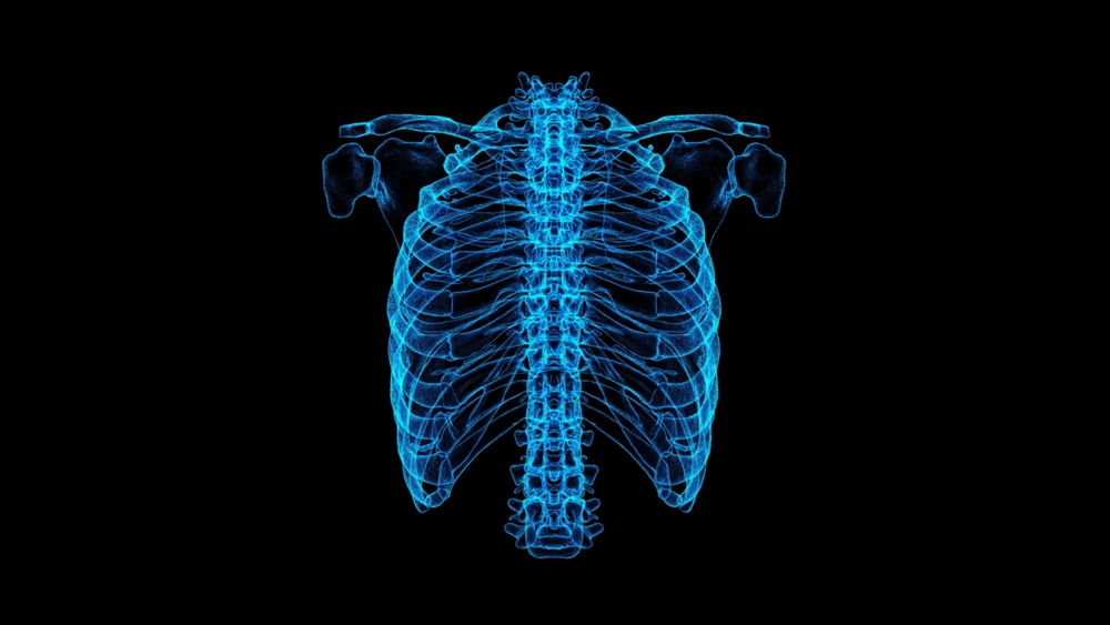 Intricate,Blue,Ribcage,X-ray,Against,Black,Background,In,Digital,Art