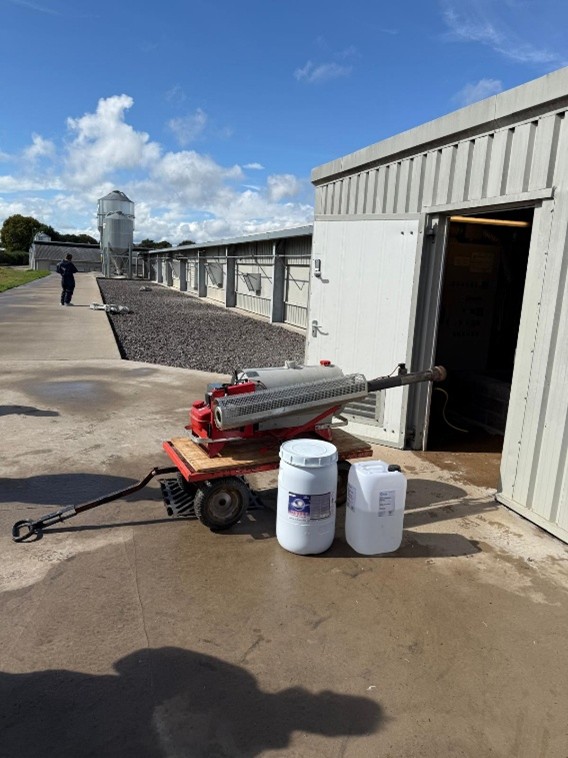 disinfection of farm with thermofogger