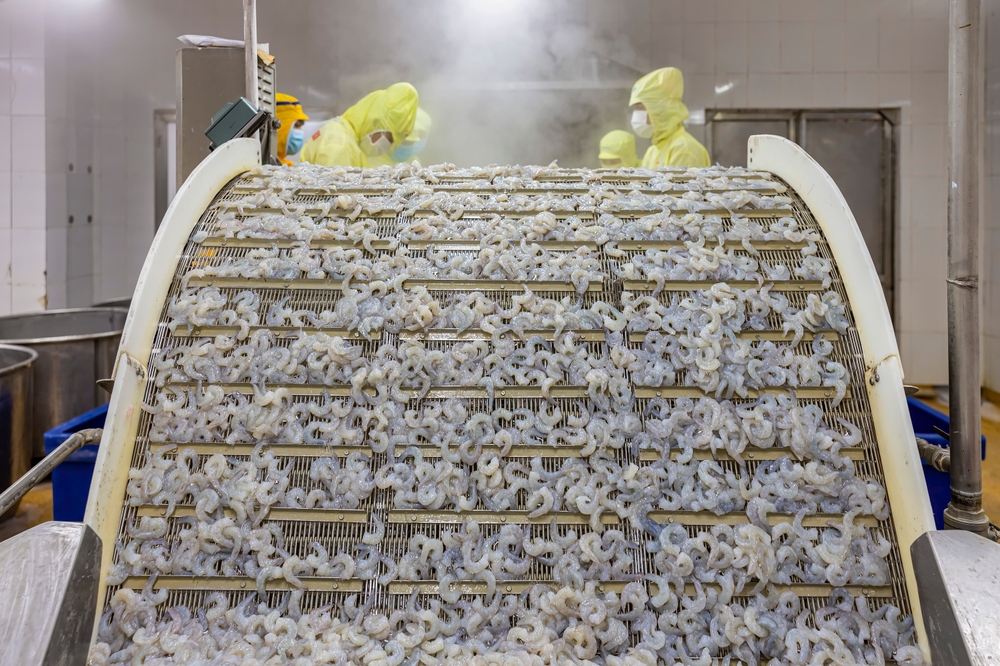 White,Shrimp,In,Factory,At,Ca,Mau,,Vietnam