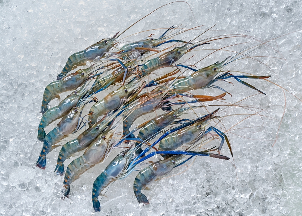 The,Blue,Shrimp,On,Ice,In,Market